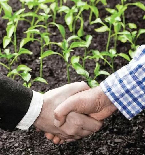 تولید قراردادی از چیستی تا چرایی