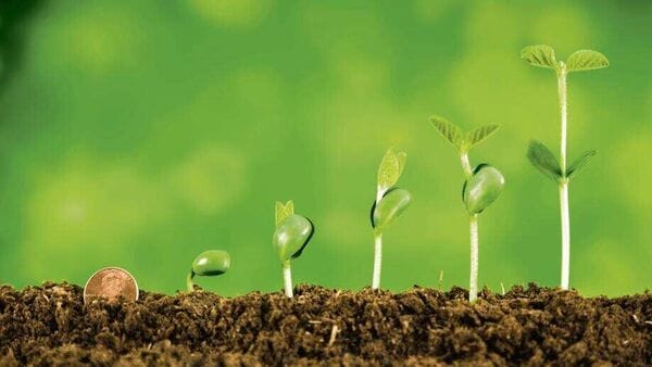 What you need to ask before making a decision to invest in quant funds | Mint